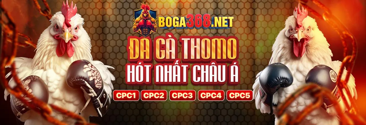 Đá Gà Trực Tuyến fly88g