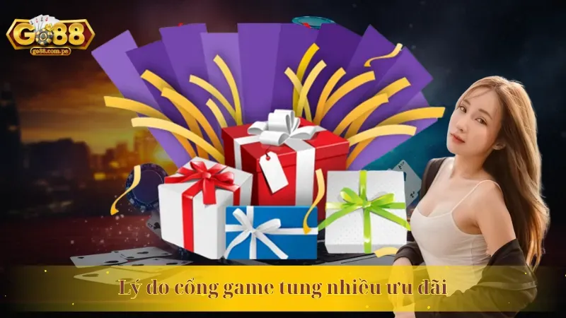 Tổng quan Điều khoản Dịch vụ